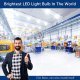 600-Watt Bulb Work Light